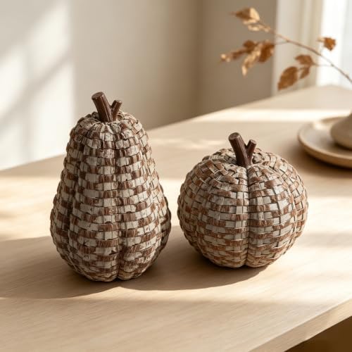 winemana 2 Pack Fall Pumpkin Decor, Woven Resin Pumpkins for Indoor Home