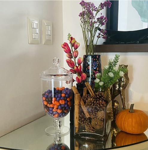 Apothecary Jar with Airtight Lid in Premium Acrylic Plastic, Decorative Weddings Candy Buffet, Elegant Storage Jar, 50-Ounce