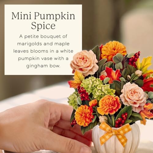 Freshcut Paper Mini Pumpkin Spice 6" Pop Up Bouquet Card