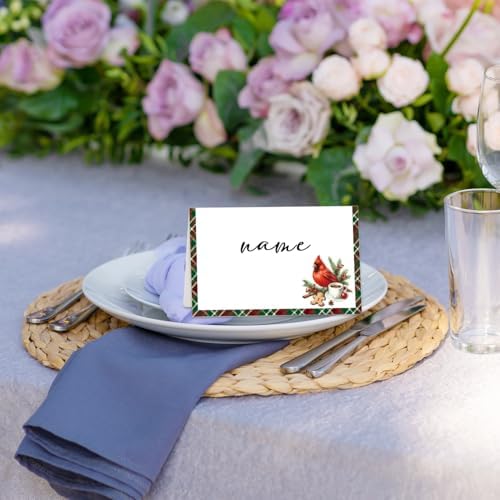 Christmas Place Cards for Table Setting, Cardinal Bird Tent Cards Decor For Bridal Baby Shower Party Reception Decorations, Winter Holiday Placecards, 25 Pack Birthday Food Name Card, 2 x 3.5" /014