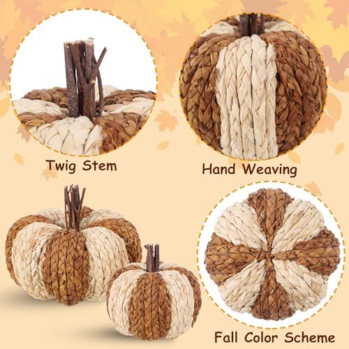 winemana Wicker Rattan Pumpkins Neutral Fall Decor for Table Centerpiece
