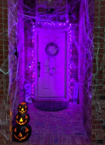 Purple LED Outdoor Halloween Lights, 39Ft 100 LED Halloween String Lights