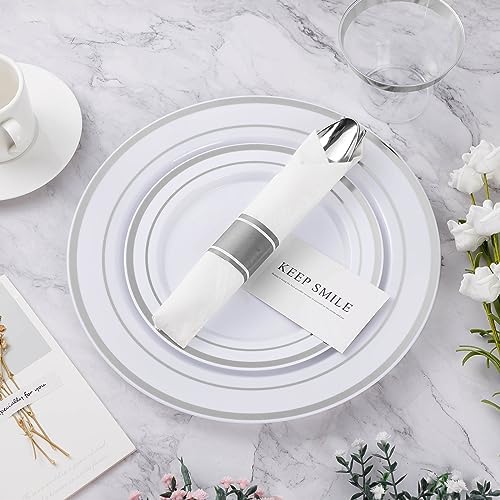 BESTVIP 875 Piece Silver Plastic Dinnerware Set for 125 Guests