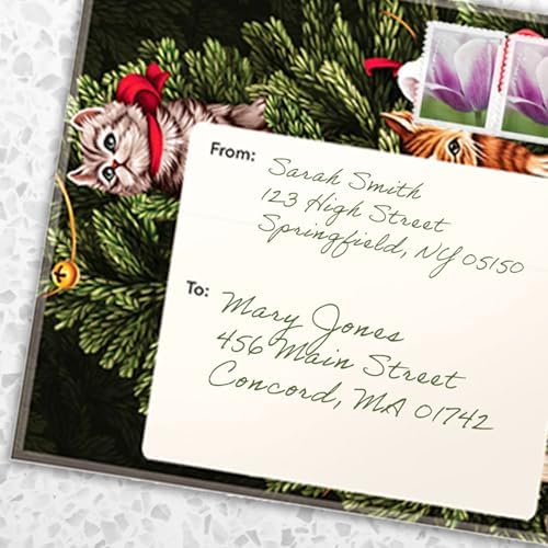 Freshcut Paper Pop Up Cards, Mini Meowy Christmas, 6 Inch Mini Sized Forever Flower Bouquet 3D Popup Greeting Cards, Christmas Card, Holiday Card, Blank Notecard & Envelope