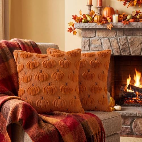 Fall Throw Pillow Covers 16x16 Set of 2 Double-Sided Pumpkin Covers