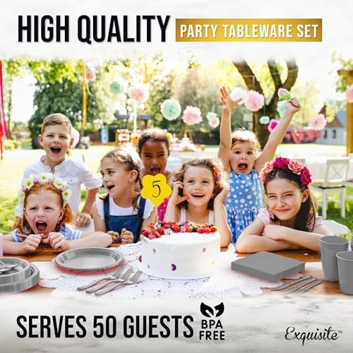 Exquisite 350 Pcs Silver Plates and Napkins Party Supplies Plate Sets