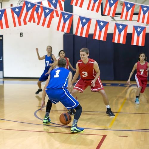 Puerto Rico Flag Banner, Small Mini Puerto Rican Flags Patriotic Decoration for Party, Classroom, Sports Events, 33 Feet 30 Flags