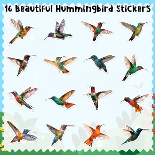 H1vojoxo Beautiful Hummingbird Sticker Rolls - 1000PCS Hummingbird Stickers for Kids 16 Designs Self-Adhesive Bird Stickers for Water Bottle Bird Sticker for Craft Envelope Scrapbook Classroom Rewards