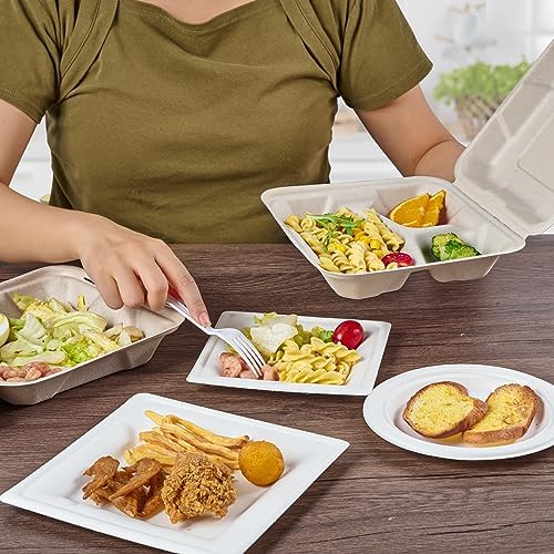 ECOLipak 50 Pack Compostable Take Out Food Containers, 8 inch,3 Compartment