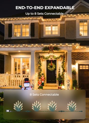 LED Christmas Lights Indoor Outdoor, 33FT 100 Count Mini String Lights
