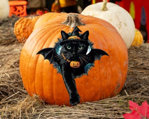 FLFK Peel and Stick Decals Black Cat in Halloween Costume
