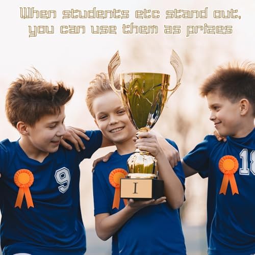Hanaive 60 Pcs Blank Award Ribbons, Rosettes for 1st 2nd 3rd Place, Orange