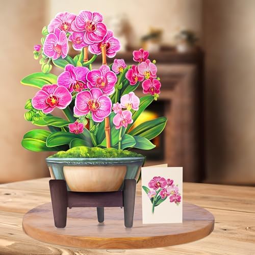 Airpark Pop Up Flower Bouquet Card for Women, 3D Floral Greeting Card with Envelope and Note, Birthday Thank You Thinking of You Get Well Gift for Mom Friend Wife Teacher, Orchid