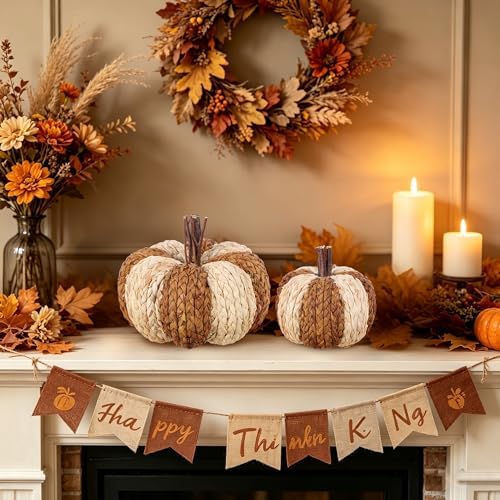 winemana Wicker Rattan Pumpkins Neutral Fall Decor for Table Centerpiece