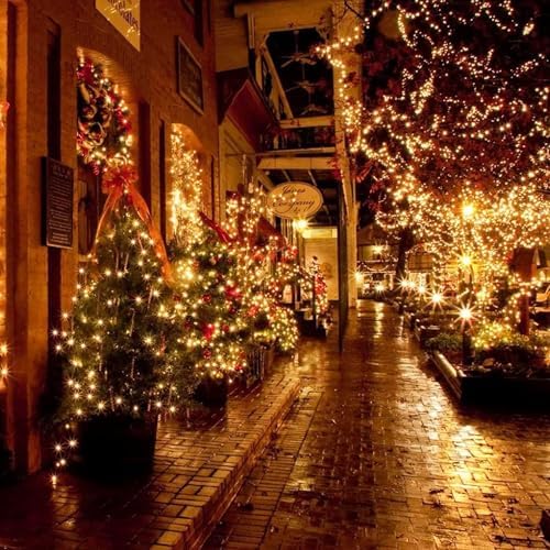 FUNPENY 164FT 500 LED Christmas Indoor Outdoor Decorative String Lights, 8 Modes Waterproof Green Wire LED Fairy Light for Christmas Party Wedding Garden Home Decoration (Warm White)