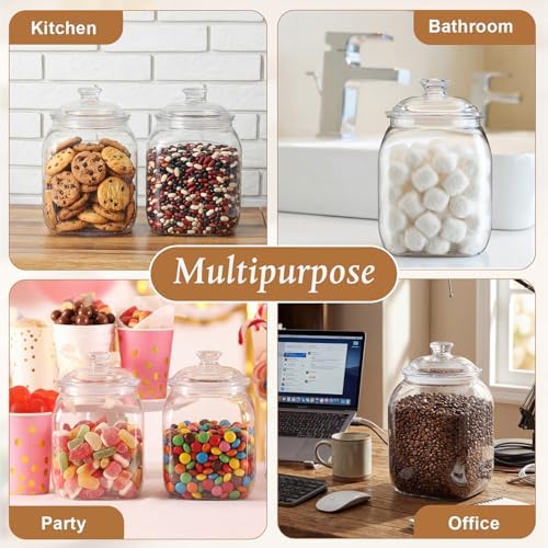 Suclain 2 Pack Acrylic Cookie Candy Jar with Lid, 1 Gallon