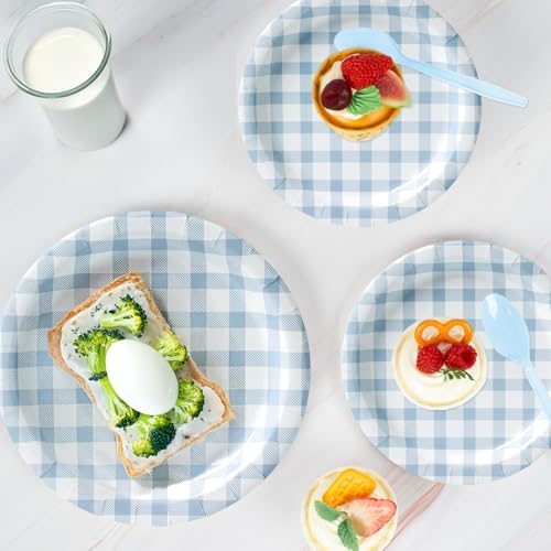 Vyntra 50 Pcs Blue Gingham 9 Inch Round Paper Dinner Plates