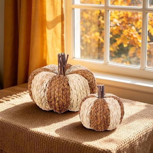 winemana Wicker Rattan Pumpkins Neutral Fall Decor for Table Centerpiece