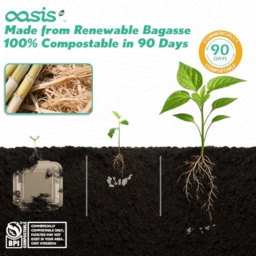 𝟲𝘅𝟲", 𝟭𝟮𝟴-𝗣𝗮𝗰𝗸 Compostable Clamshell Take Out Food Containers, Biodegradable Bagasse Paper To-Go Boxes for Burgers, Sandwiches, Cake, Eco-Friendly, Microwave & Freezer Safe (Natural)