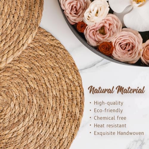 BAVIFY 12" Round Woven Placemats Set of 10, Plate Chargers for Dining Table