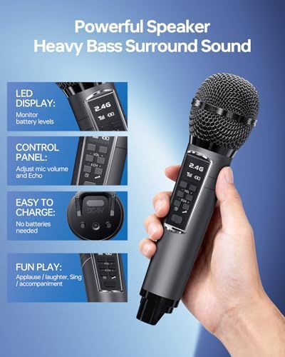 Bluetooth Karaoke Machine for Adults & Kids, 80W Portable Speaker with 2 Wireless Microphones, Echo Adjustment, Support USB/AUX/TF Card, for Outdoor/Indoor Gathering Gifts (Gray)