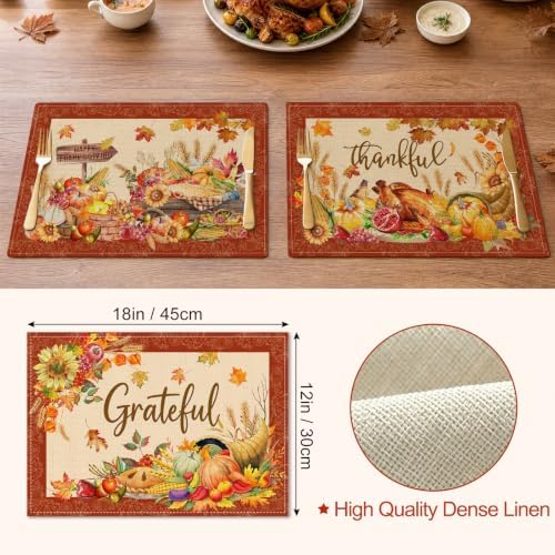 Thanksgiving Placemats Set of 4, Turkey Holiday Placemats Set of 4 12x18 Inch for Dining Table, Thanksgiving Place Mats Pumpkins Table Decor for Kitchen Dining Room Home