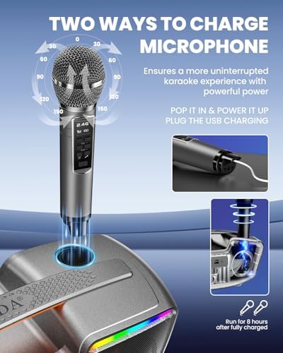 Bluetooth Karaoke Machine for Adults & Kids, 80W Portable Speaker with 2 Wireless Microphones, Echo Adjustment, Support USB/AUX/TF Card, for Outdoor/Indoor Gathering Gifts (Gray)