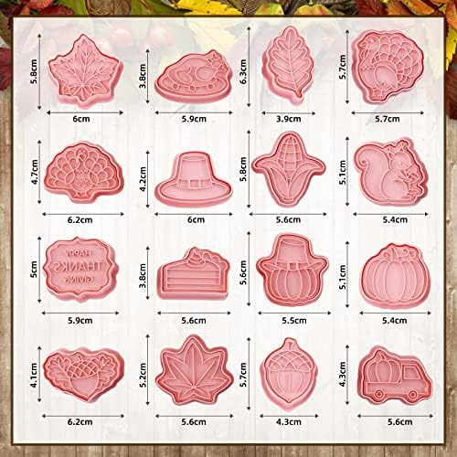 16 Pieces Fall Thanksgiving Cookie Cutters with Plunger Stamps Set Fall Biscuit Mold Maple Leaf Turkey Pumpkin 3D Cookie Stamper Plastic DIY Cookie Tools for Thanksgiving Day Baking Fondant Supplies