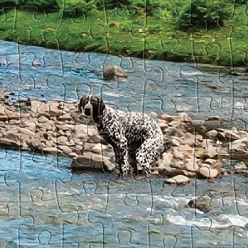 Prank-O 500-Piece Puzzles, Hidden Image (Flowing Freedom)