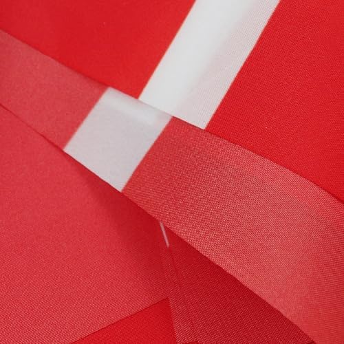 AZ FLAG Denmark Bunting 20 ft 20 flags Light Polyester