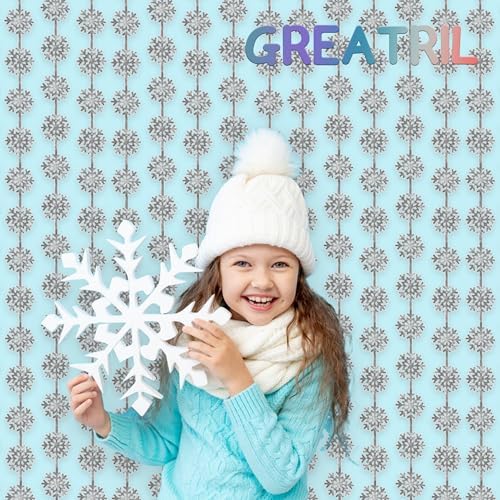 Silver Snowflake Fringe Curtain -3.2ft x 6.5ft - 2 Pack