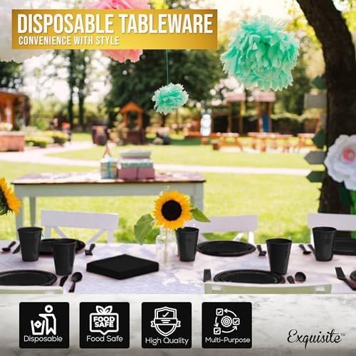 Exquisite 350 Pcs Black Plates and Napkins Party Supplies Plate Sets