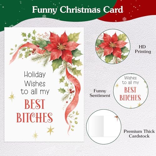 D4DREAM Poinsettia Funny Friend Christmas Card for Best Female Friend