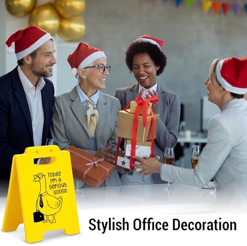 Funny Silly Goose Office Desk Decor - Today I'm a Serious Goose Cubicle Decor - Fun Gag Gifts for Coworkers Colleagues Staff