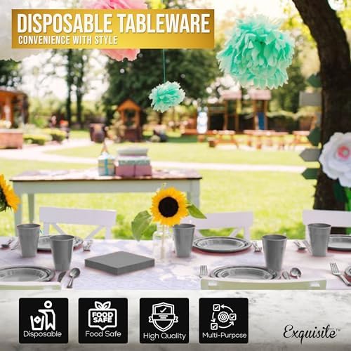 Exquisite 350 Pcs Silver Plates and Napkins Party Supplies Plate Sets