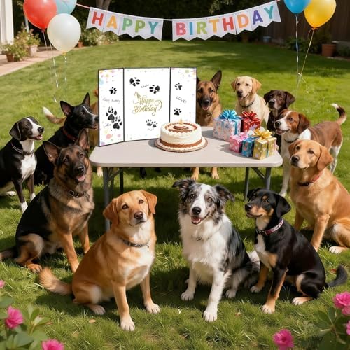 Black Gold Birthday Party Decorations, Happy Birthday Signature Board