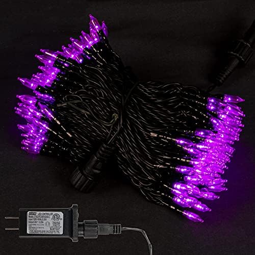 Dazzle Bright 200 LED Halloween Mini String Lights, 65FT Light Up 8 Modes Halloween Decorations Fairy Lights for Indoor Outdoor Room Garden Holiday Party (Purple)