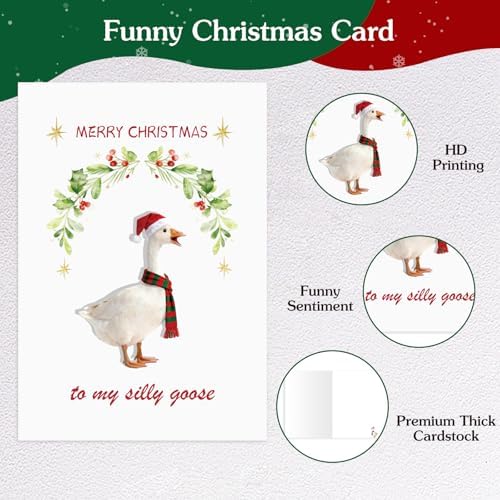 D4DREAM Silly Goose Funny Christmas Card for Couple Husband Wife