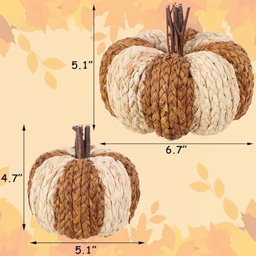 winemana Wicker Rattan Pumpkins Neutral Fall Decor for Table Centerpiece
