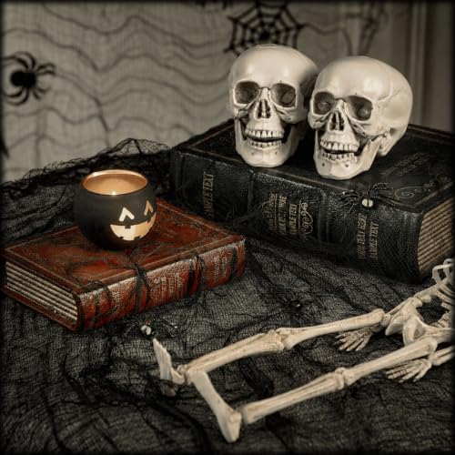 600 x 80 in Halloween Creepy Cloth for Yard and Outdoor Decorations, Black