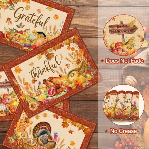 Thanksgiving Placemats Set of 4, Turkey Holiday Placemats Set of 4 12x18 Inch for Dining Table, Thanksgiving Place Mats Pumpkins Table Decor for Kitchen Dining Room Home