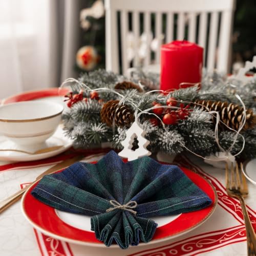 Funnymoom 24 Pcs Christmas Linen Plaid Cloth Napkins Blue and Green