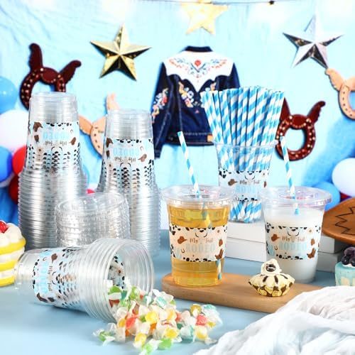 Funnymoom 50 Sets First Rodeo Cowboy Party Supplies Blue Cowboy Plastic Cups with Lids and Straws 16 oz Clear Disposable Drinking Cups Bulk for Western Baby Shower 1st Birthday Party Supplies
