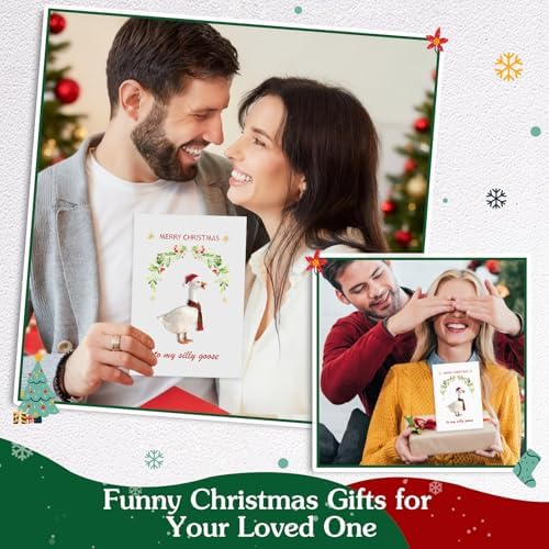 D4DREAM Silly Goose Funny Christmas Card for Couple Husband Wife