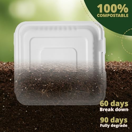 100% Compostable Clamshell Take Out Food Containers 6X6" 50-Pack Heavy-Duty Quality to go Containers, Natural Disposable Bagasse, Eco-Friendly Biodegradable Made of Sugar Cane Fibers