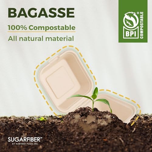 6X6 inch Compostable White Clamshell Take Out Food Containers with Lids