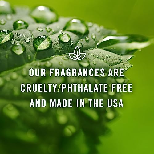 P&J Trading Fragrance Oil | French Vanilla Oil 100ml - Candle Scents for Candle Making, Freshie Scents, Soap Making Supplies, Diffuser Oil Scents