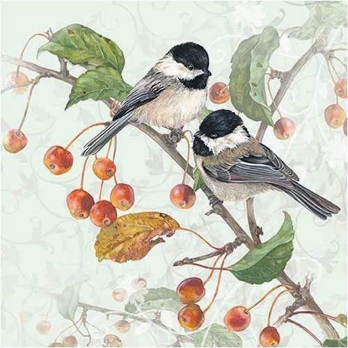 Assorted Floral Napkins for Decoupage - Pretty Paper Napkins - 12 Each - 6.5" x 13"