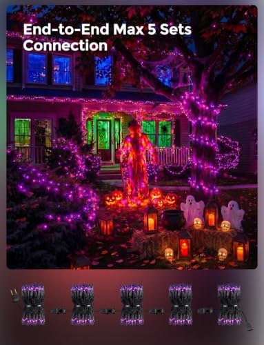 20FT Purple Outdoor Halloween String Lights for Indoor Haunted House Decor
