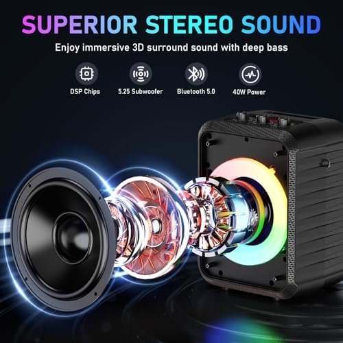 JYX Karaoke Machine for TV with 2 Wireless Microphones, Portable PA Speaker